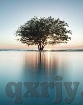 国产91精品人妻互换麻豆-国产91精品影片中的人妻互换现象，影视文化的一种小众探索与思考