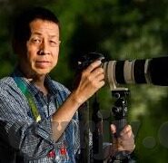 国产区精品一区二区不卡中文-国产区精品一区二区不卡中文，探索网络内容多样性的新视角