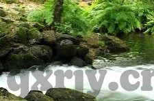 国产一区二区三区蝌蚪-国产一区二区三区蝌蚪，文化与创新的交汇点