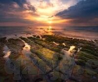 果冻传媒演员排行榜-果冻传媒演员排行榜，星光璀璨的演艺新势力